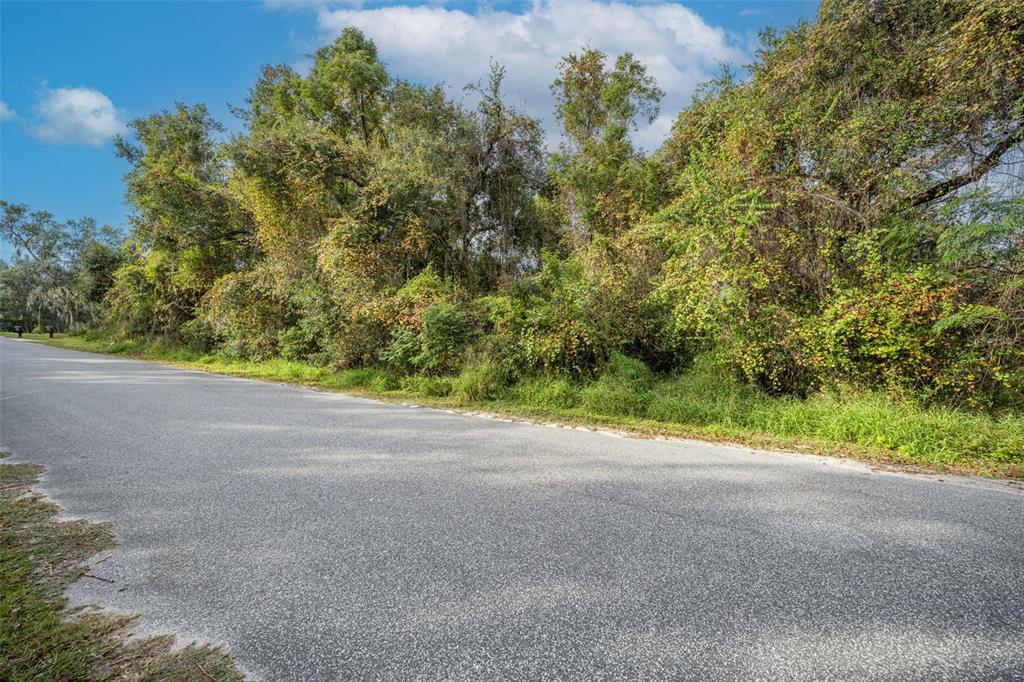 An asphalt road runs alongside a dense, wooded area with trees and green vegetation — ROYAL OAK ROAD, FRUITLAND PARK, FL