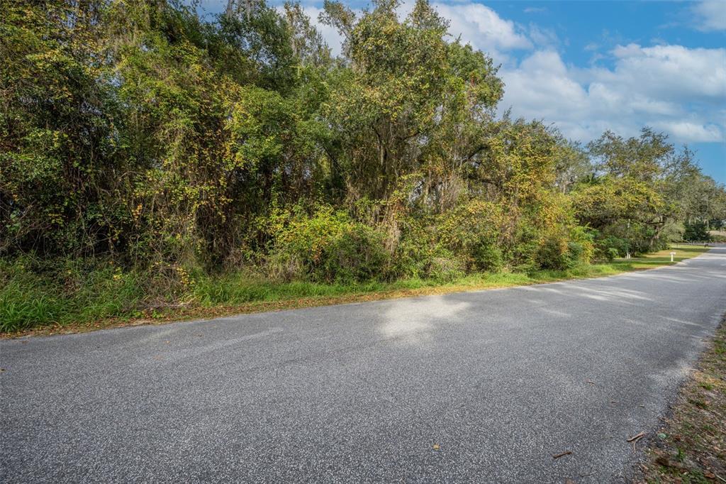 A paved road runs alongside a dense, wooded lot under a blue sky — ROYAL OAK ROAD, FRUITLAND PARK, FL