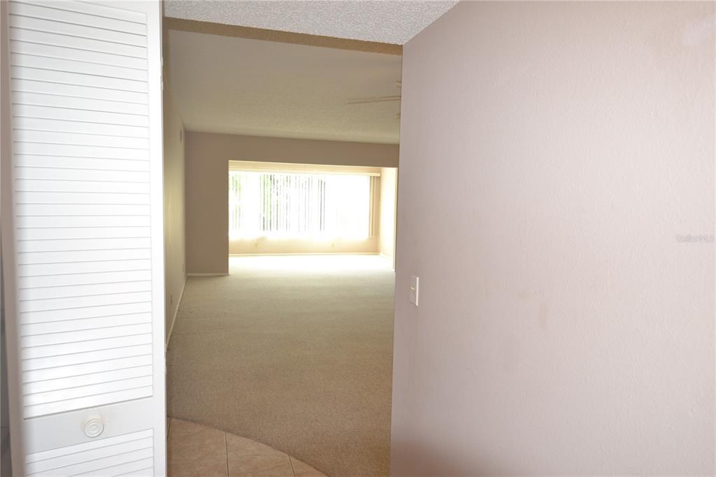 A view from a doorway into a carpeted living area with a large window — 2471 SUMATRAN WAY UNIT 25, CLEARWATER, FL