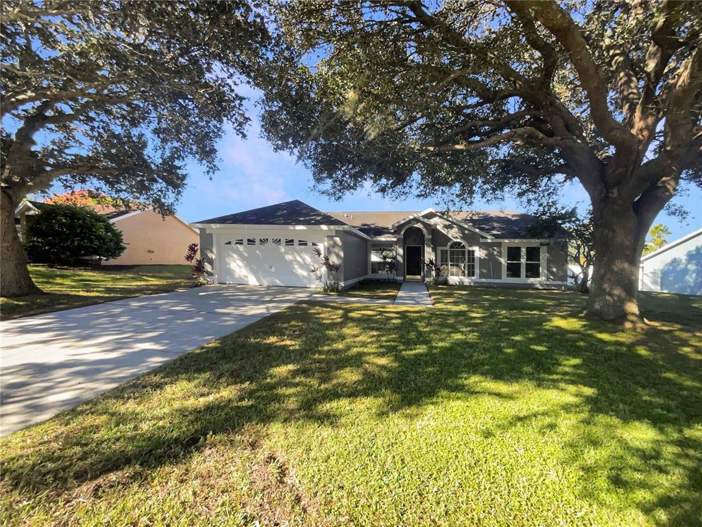 446 NEVADA LOOP ROAD