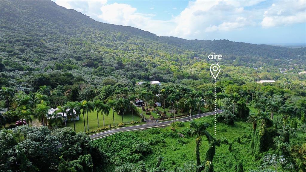An aerial view shows a road winding through a lush, green landscape with scattered houses — PR-191, Km 2.4 BO. MAMEYES II, RIO GRANDE, PR