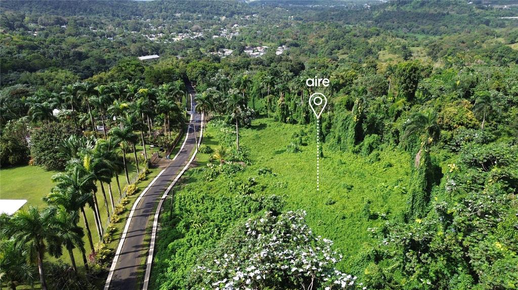 An aerial view shows a paved road winding through a lush, green, undeveloped wooded lot — PR-191, Km 2.4 BO. MAMEYES II, RIO GRANDE, PR
