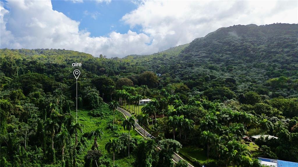 An aerial view shows a lush, forested hillside with a winding road and a small house — PR-191, Km 2.4 BO. MAMEYES II, RIO GRANDE, PR