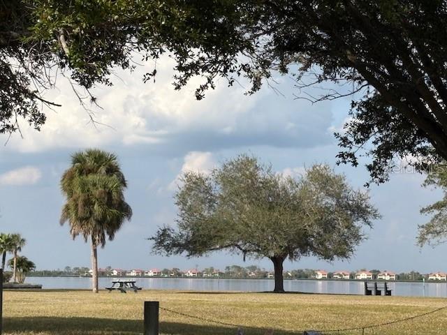 A grassy park with a palm tree and a large tree overlooks a lake — JOSLYN TERRACE, PORT CHARLOTTE, FL