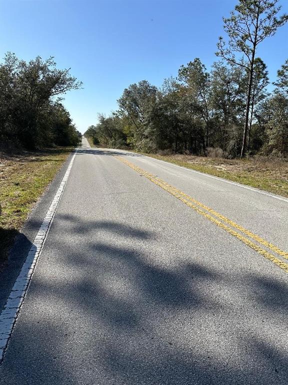 An asphalt road stretches into the distance, flanked by trees under a clear blue sky — SW SANDS POINT AVENUE, DUNNELLON, FL