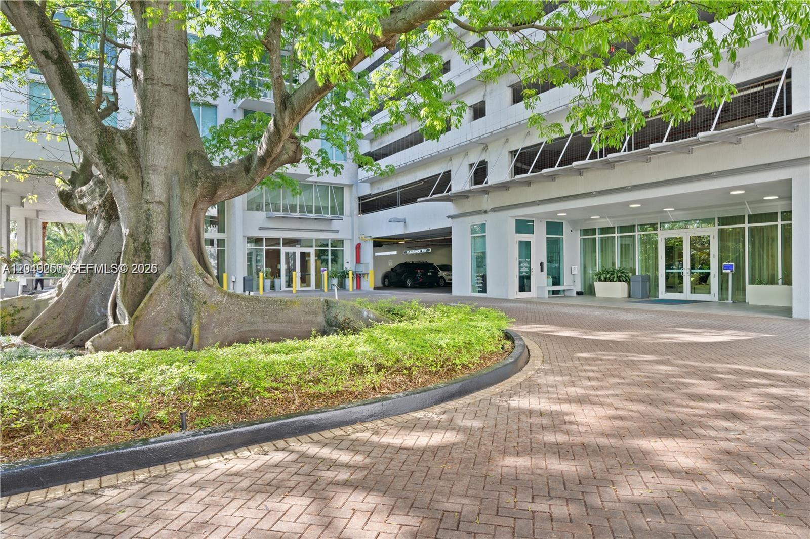 A large tree stands in front of a modern building with a paved circular driveway — 1871 NW S River Dr # 1804, Miami FL 33125, MIAMI, FL