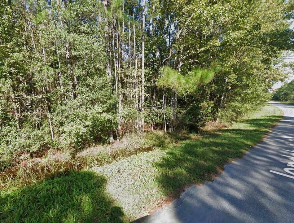 A view of a wooded lot bordering a paved road — 161 JONDABOB ROAD, GREEN COVE SPRINGS, FL