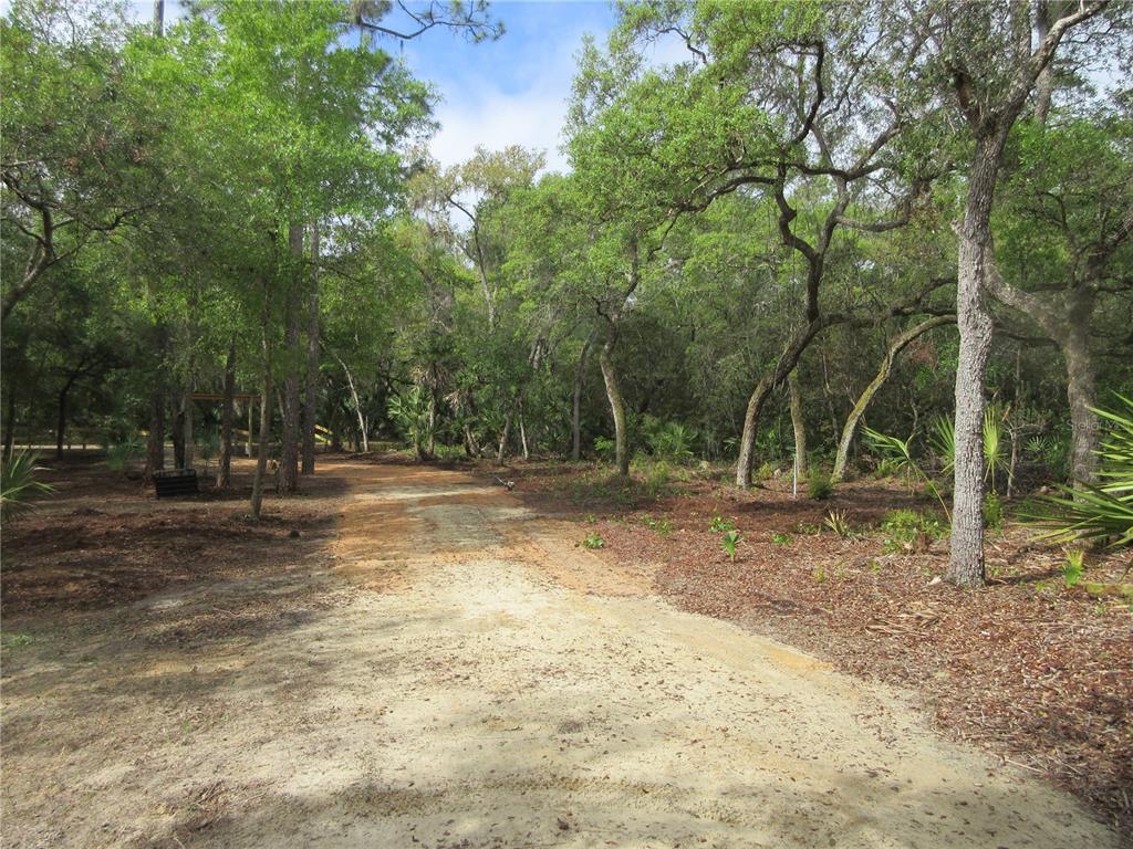A dirt path leads through a wooded area with mature trees and native Florida vegetation — 0 SE 10TH STREET, SILVER SPRINGS, FL