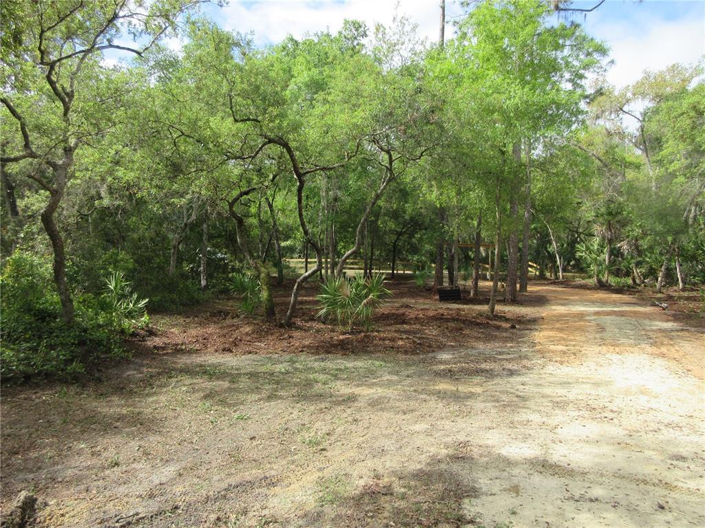 A dirt driveway leads into a wooded lot with scattered trees and palmetto plants — 0 SE 10TH STREET, SILVER SPRINGS, FL