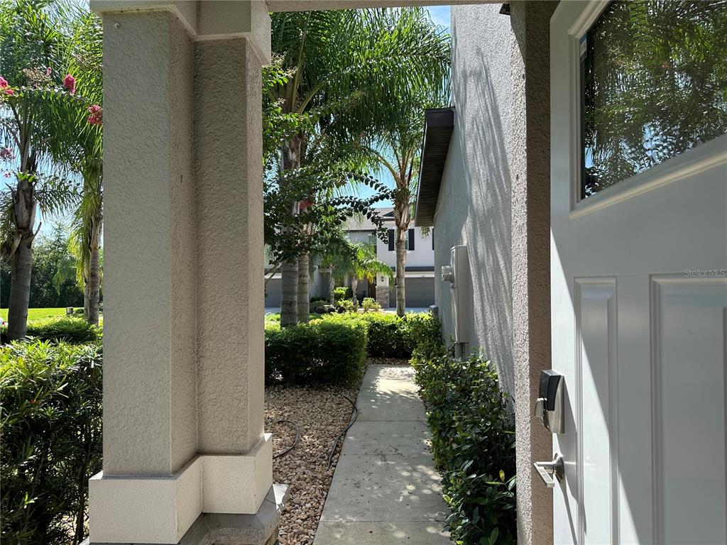 A view from a doorway looking out at a concrete walkway, landscaping, and palm trees — 1389 WHITE FOX RUN, LUTZ, FL