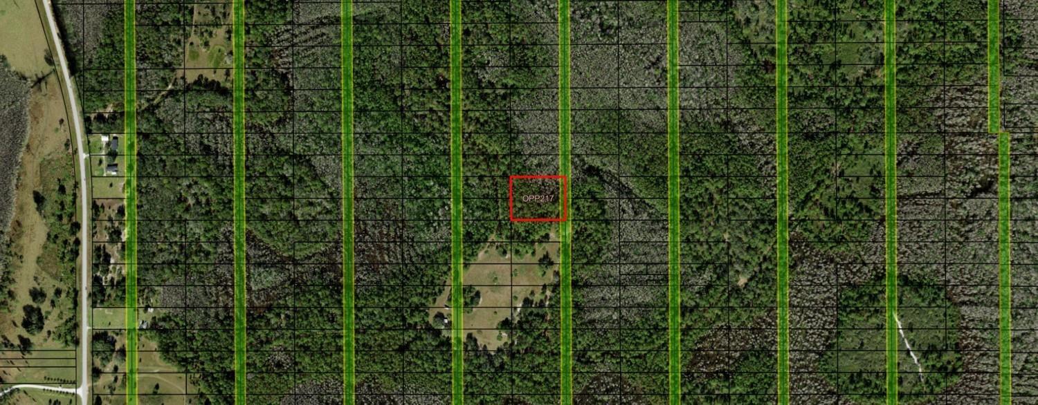 An aerial map view shows a red-outlined property parcel surrounded by dense forest and vegetation — 0 Old Grade Road, FL 33868, FL