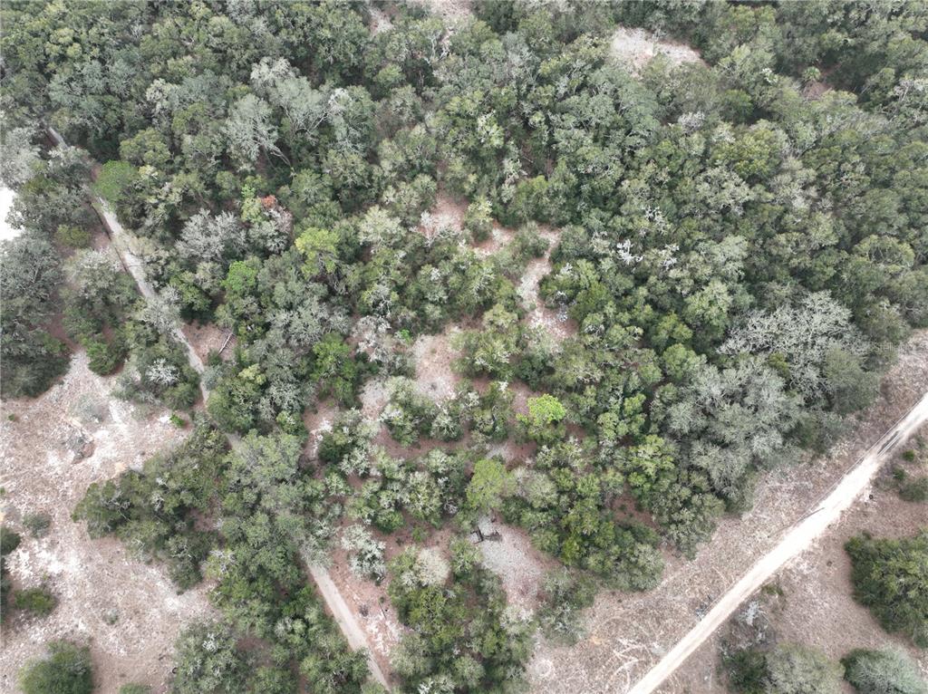 SE 100 STREET, OCALA, FL — photo 4 of 8