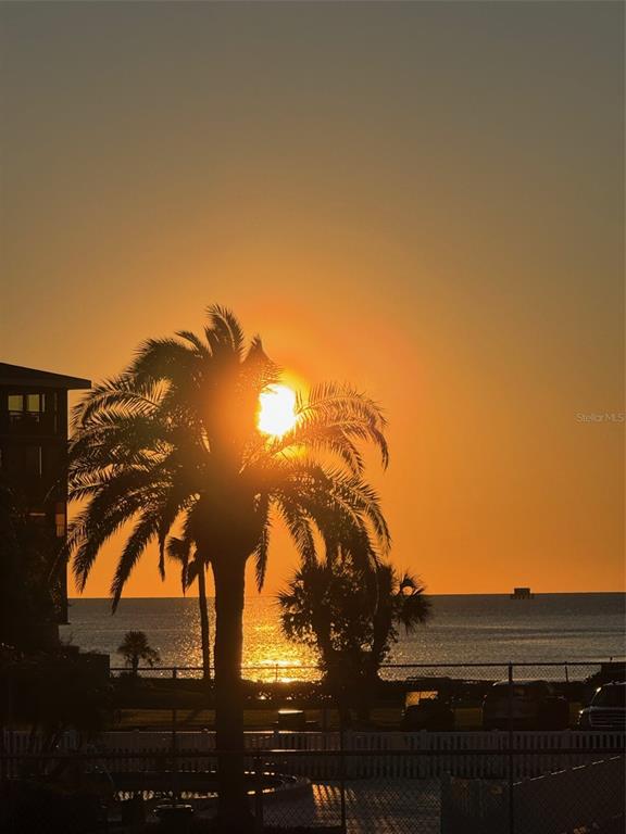 A palm tree silhouettes against a sunset over the ocean with a building on the left — 8246 AQUILA STREET, PORT RICHEY, FL