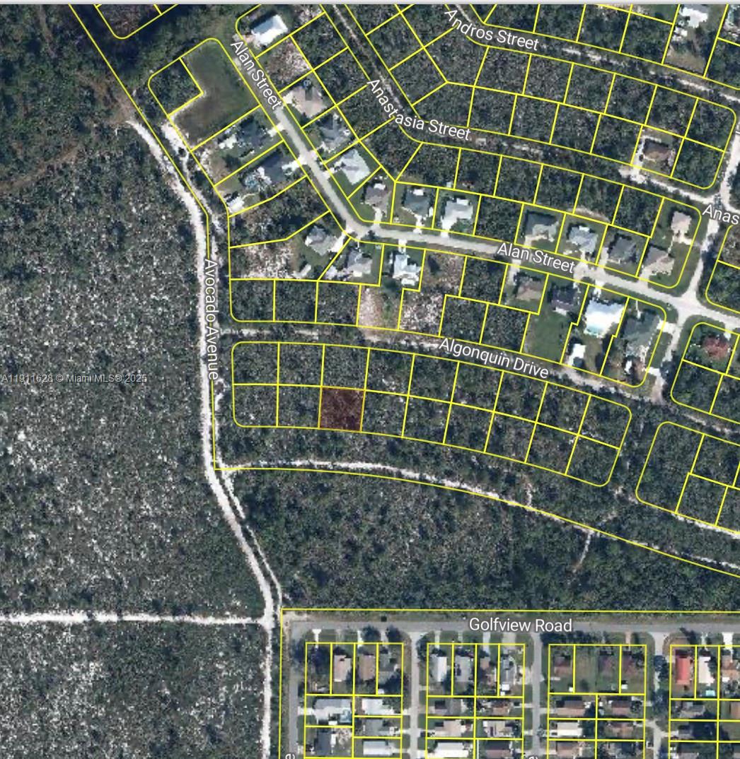 This is an aerial map showing a highlighted residential lot among undeveloped land and streets — 2224 Carla Ave, Sebring FL 33875, SEBRING, FL