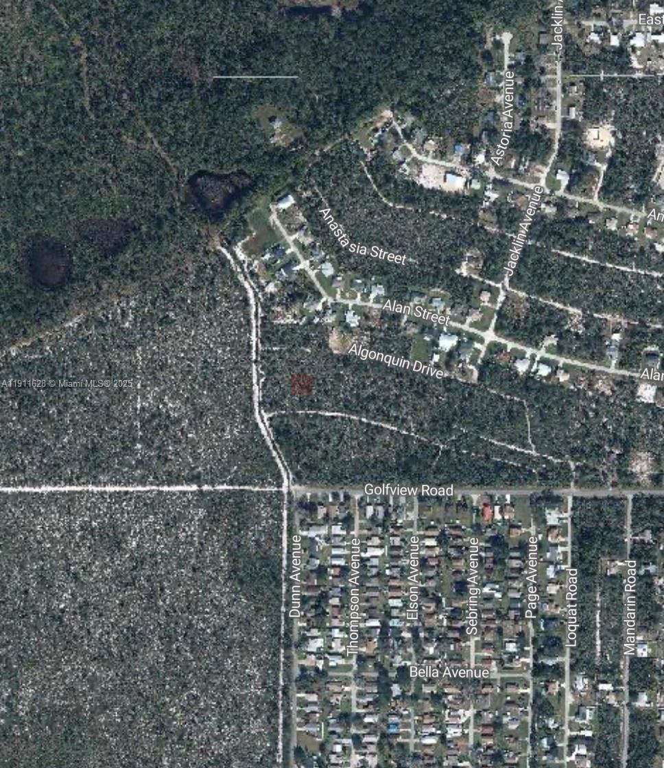 This is an aerial map view of a residential area with wooded lots and streets — 2224 Carla Ave, Sebring FL 33875, SEBRING, FL