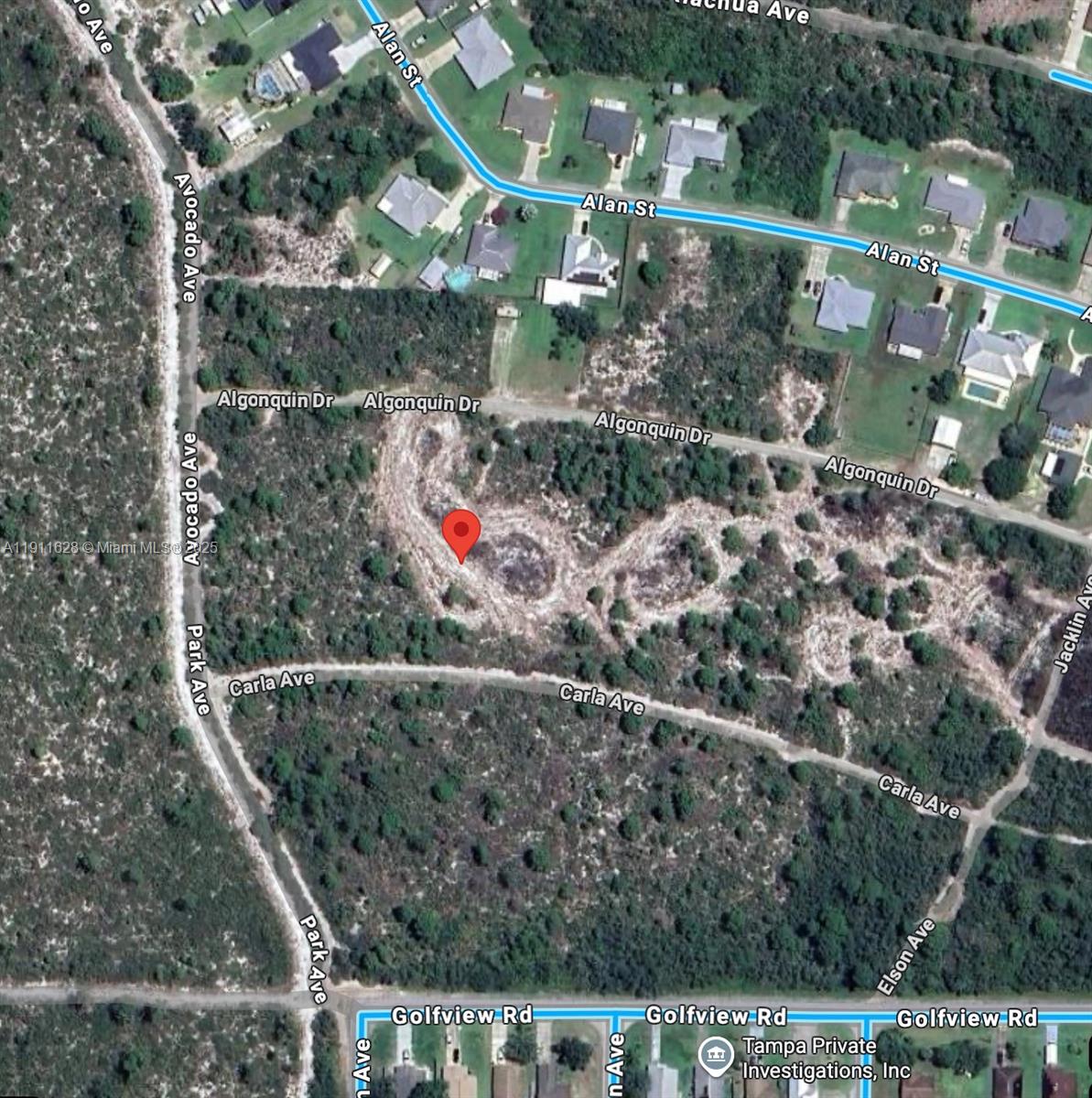 This is an aerial map view of a vacant, wooded residential lot — 2224 Carla Ave, Sebring FL 33875, SEBRING, FL