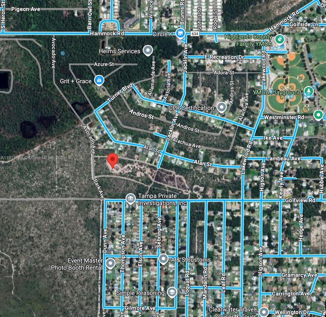 This is a satellite map showing a residential area with a red pin marking property — 2224 Carla Ave, Sebring FL 33875, SEBRING, FL