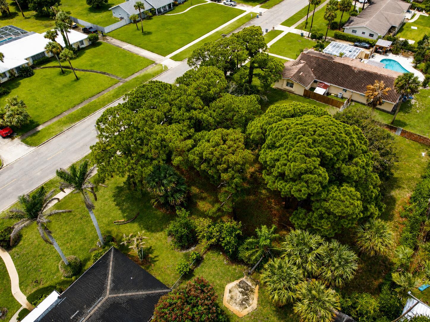 An aerial view shows a residential property with a large, tree-filled lot and pool — 1006 Grandview Boulevard, Fort Pierce FL 34982, FORT PIERCE, FL
