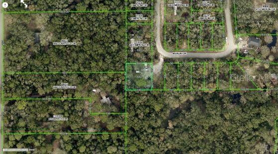 4809 MERLIN CIRCLE, RIDGE MANOR, FL — photo 4 of 8