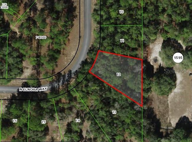 This is an aerial map showing a vacant, wooded lot highlighted in red — 6477 N ELNORA WAY, DUNNELLON, FL