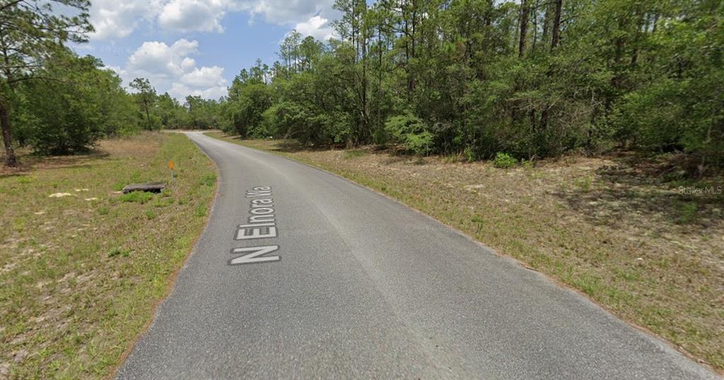 A paved road curves through a wooded area with trees on both sides — 6477 N ELNORA WAY, DUNNELLON, FL