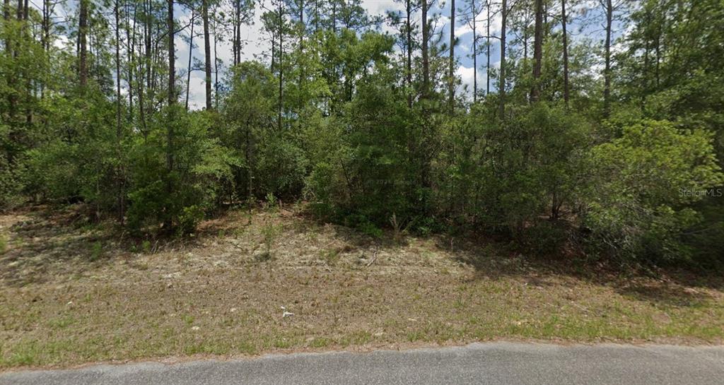 A vacant, wooded lot sits behind a paved road under a bright, cloudy sky — 6477 N ELNORA WAY, DUNNELLON, FL