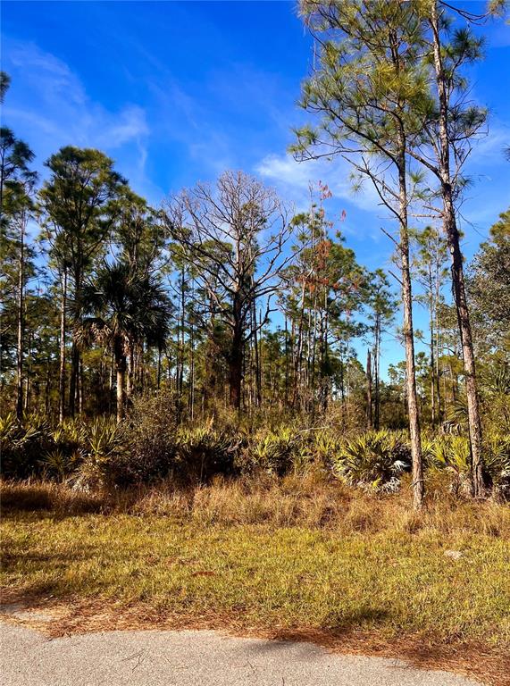 A wooded lot with pine trees and palmetto bushes viewed from a paved road — 13084 HARBISON AVENUE, PORT CHARLOTTE, FL