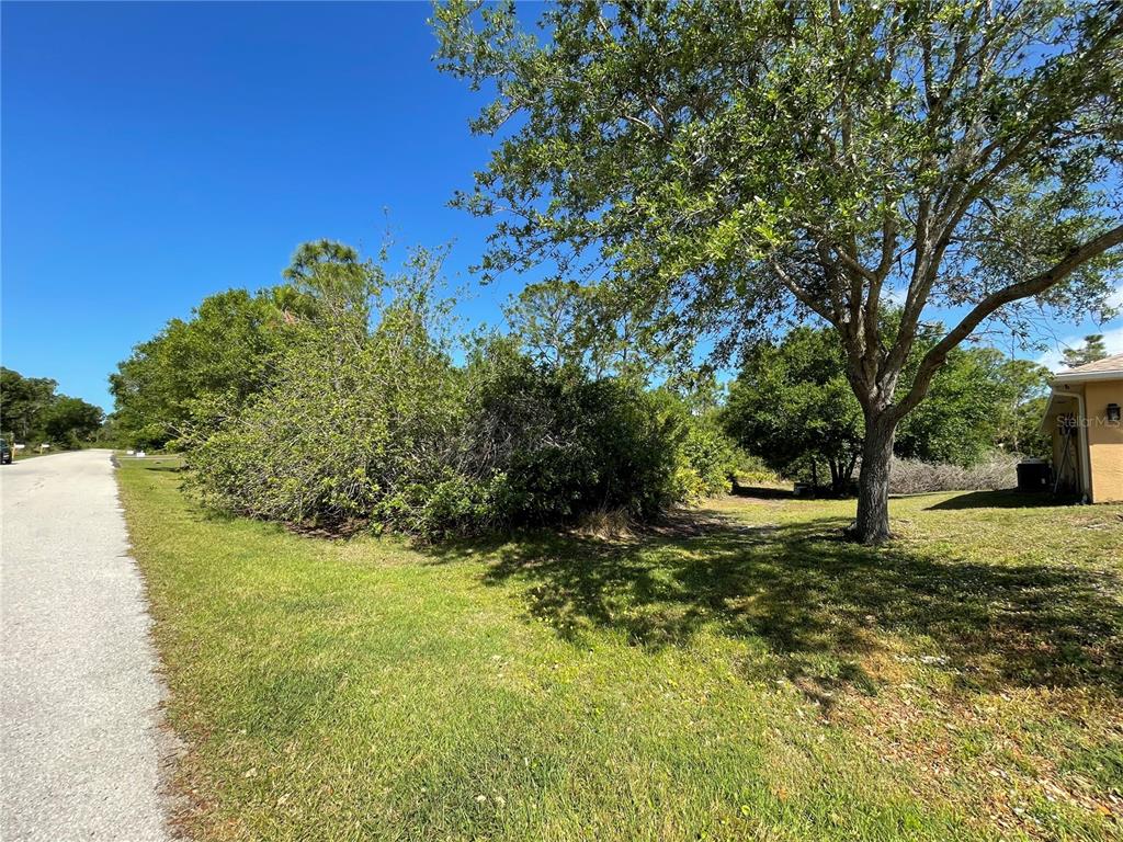 A grassy lot with dense vegetation and trees sits next to a paved road — 23430 RACINE AVE, PORT CHARLOTTE, FL