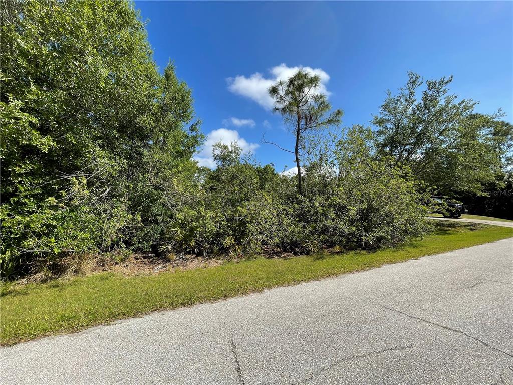 A vacant, wooded residential lot sits alongside a paved asphalt road under a blue sky — 23430 RACINE AVE, PORT CHARLOTTE, FL