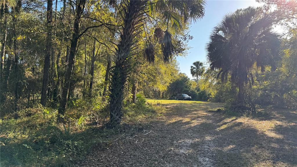 17221 SE 95TH STREET ROAD