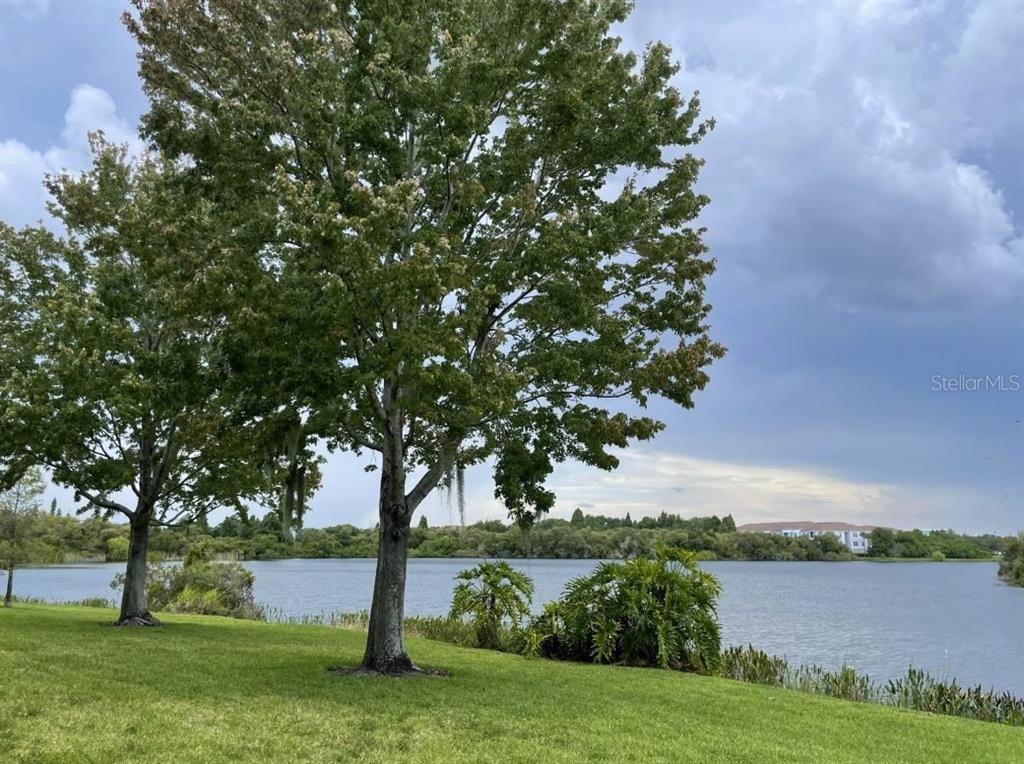 A grassy lawn with two large trees overlooks a lake under a cloudy sky — 2401 LEXINGTON OAK DRIVE, BRANDON, FL