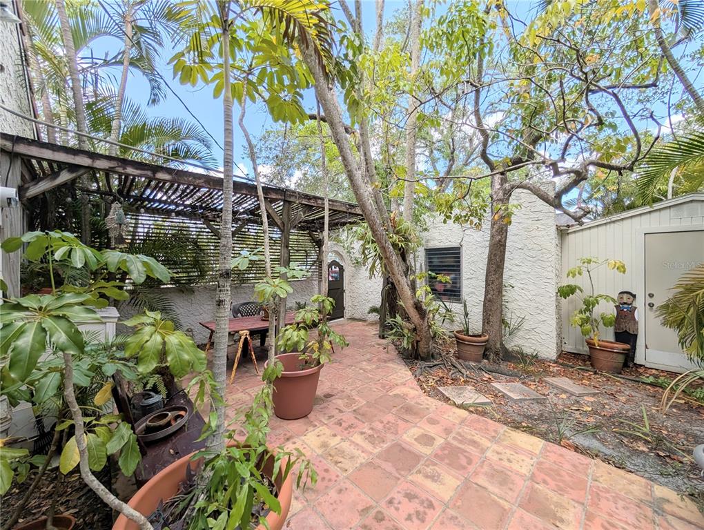 A paved patio area features a wooden pergola, potted plants, and a small storage shed — 1701 SIESTA DRIVE, SARASOTA, FL