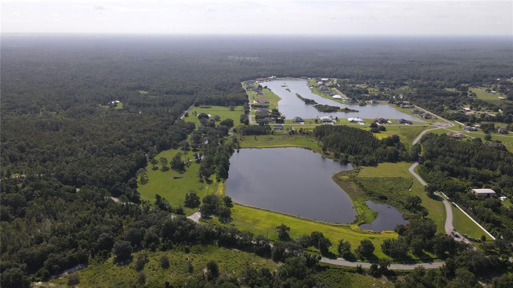 An aerial view shows a large pond surrounded by green fields, trees, and residential houses — 10460 EHREN CUTOFF, LAND O LAKES, FL