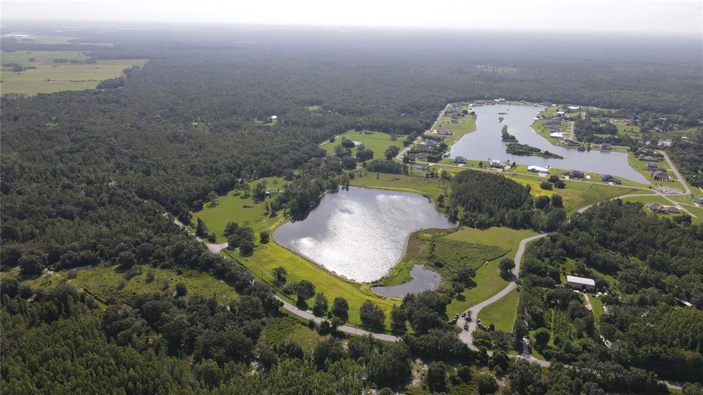 An aerial view shows a large pond surrounded by green fields, trees, and residential homes — 10460 EHREN CUTOFF, LAND O LAKES, FL