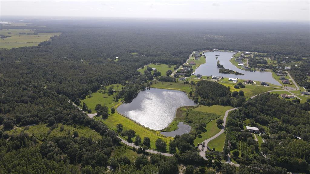 An aerial view shows a large pond surrounded by green fields, trees, and residential houses — 10460 EHREN CUTOFF, LAND O LAKES, FL