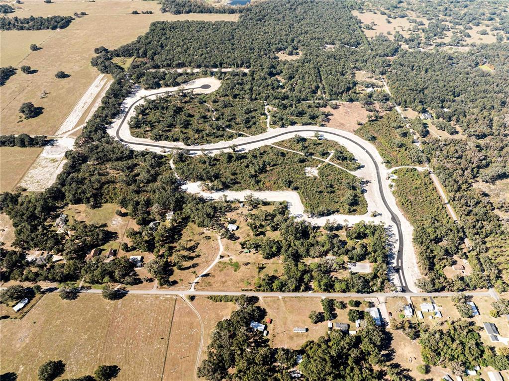 An aerial view shows a new paved road winding through a wooded residential development — 1480 OXFORD PRESERVE TRL, OXFORD, FL