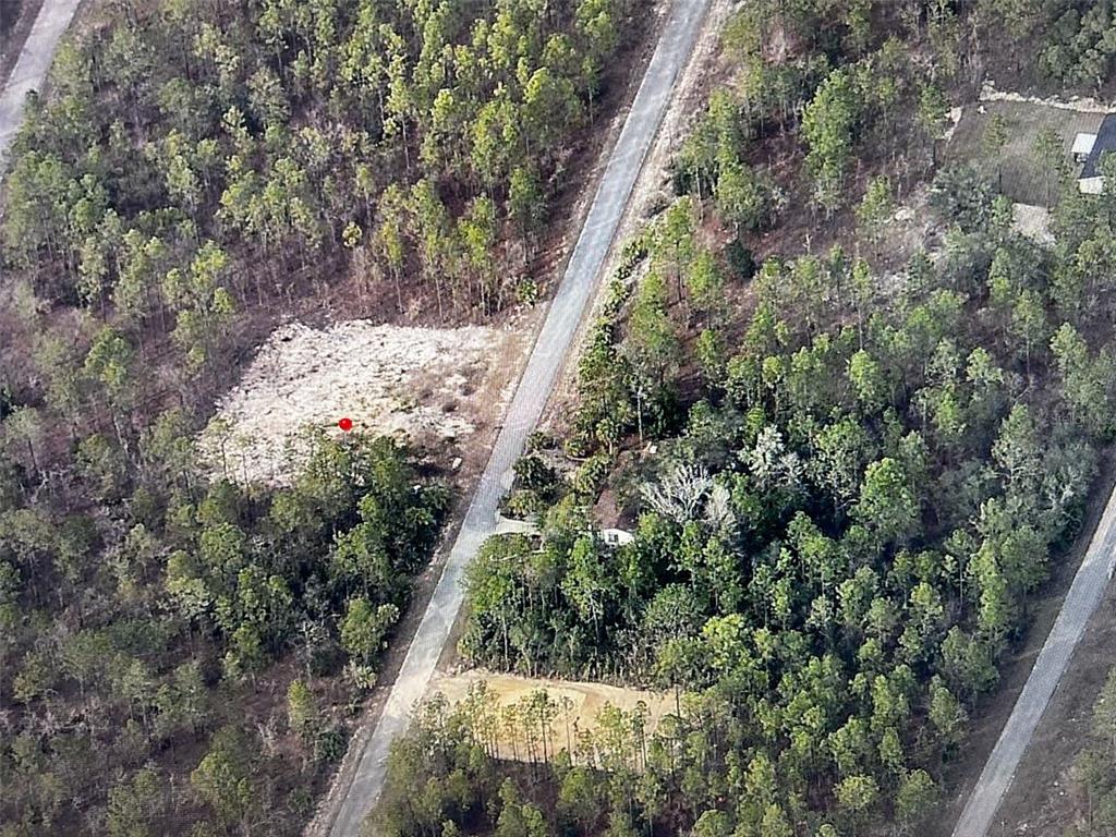 An aerial view shows a cleared lot with a red marker next to a paved road — NARCISSUS, DUNNELLON, FL