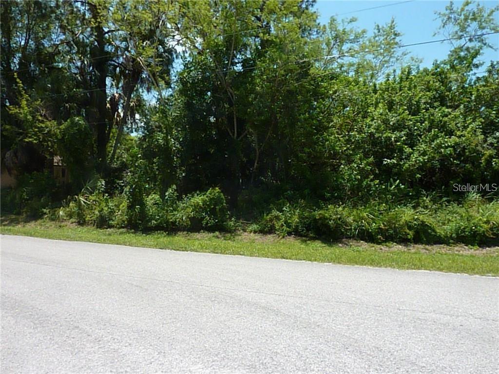 A view of a densely wooded, undeveloped lot from an adjacent paved road — MANATI AVENUE, NORTH PORT, FL