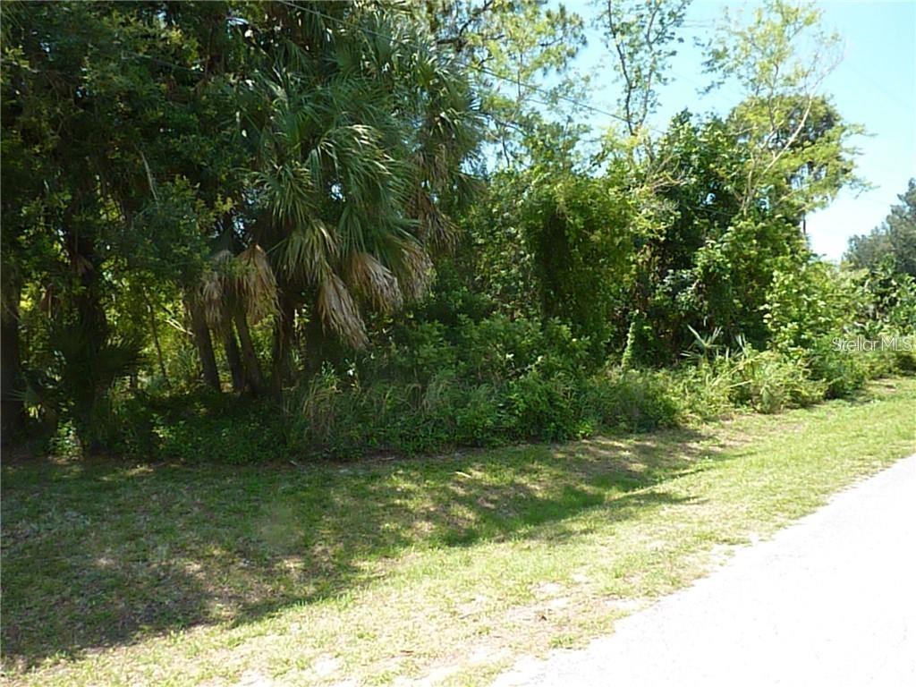A view of a densely wooded, undeveloped lot bordering a paved road — MANATI AVENUE, NORTH PORT, FL