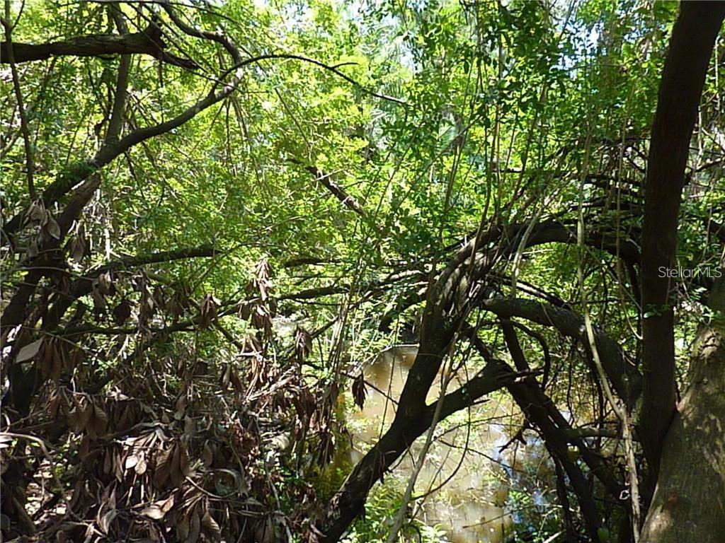 A view of a small, murky creek flowing through a dense, wooded area — MANATI AVENUE, NORTH PORT, FL