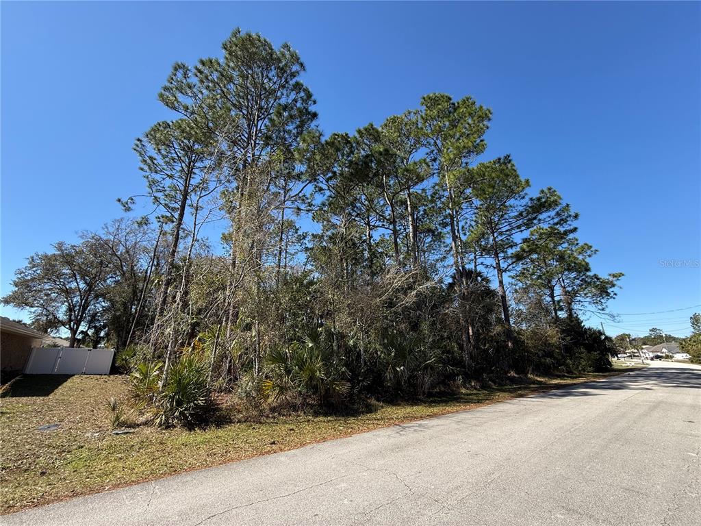 A vacant, wooded lot with tall pine trees sits next to a paved road — 28 PHOENIX LANE, PALM COAST, FL
