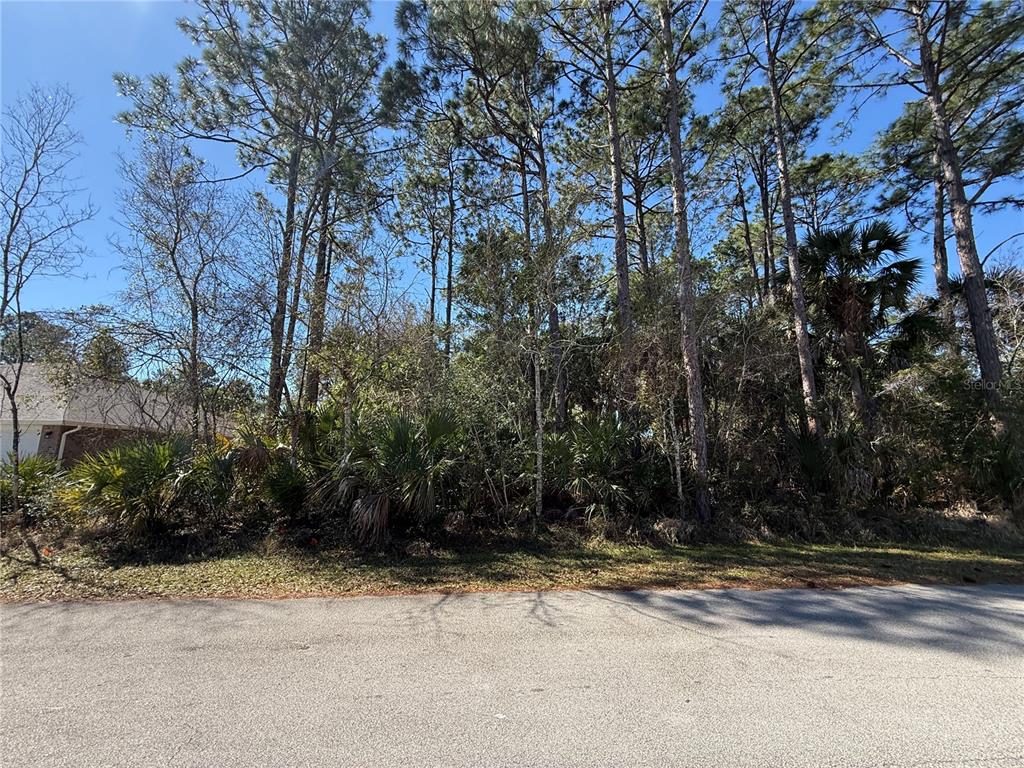 A wooded, undeveloped residential lot is bordered by a paved road and a neighboring house — 28 PHOENIX LANE, PALM COAST, FL