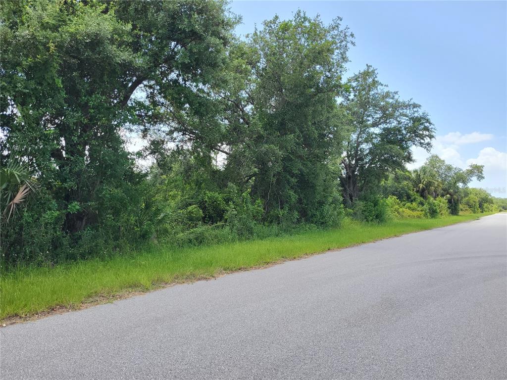 A paved road runs alongside a wooded lot with dense trees and green vegetation — 14471 CORAL SEA AVENUE, PORT CHARLOTTE, FL