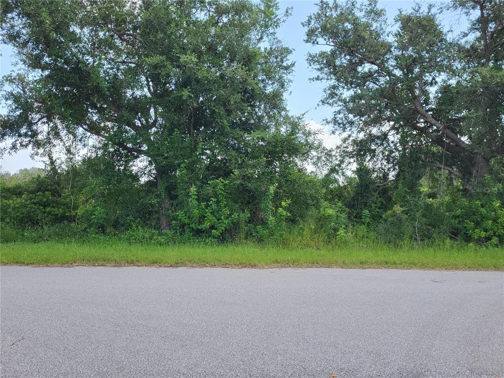 A paved road runs in front of a densely wooded, undeveloped lot — 14471 CORAL SEA AVENUE, PORT CHARLOTTE, FL