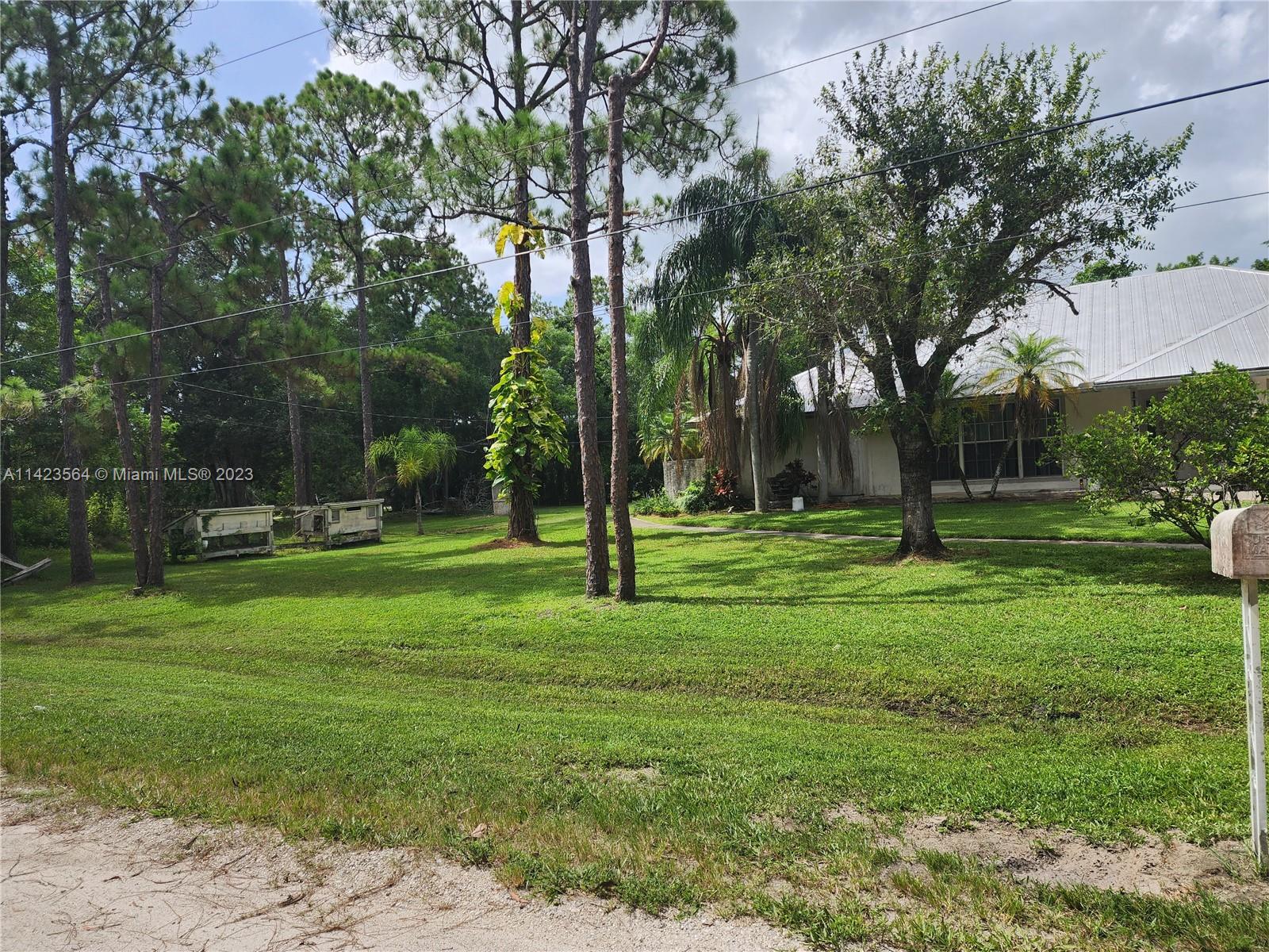 A grassy yard features several tall pine trees and a house with a metal roof — 11845 N 171st Ln N, Jupiter FL 33478, JUPITER, FL
