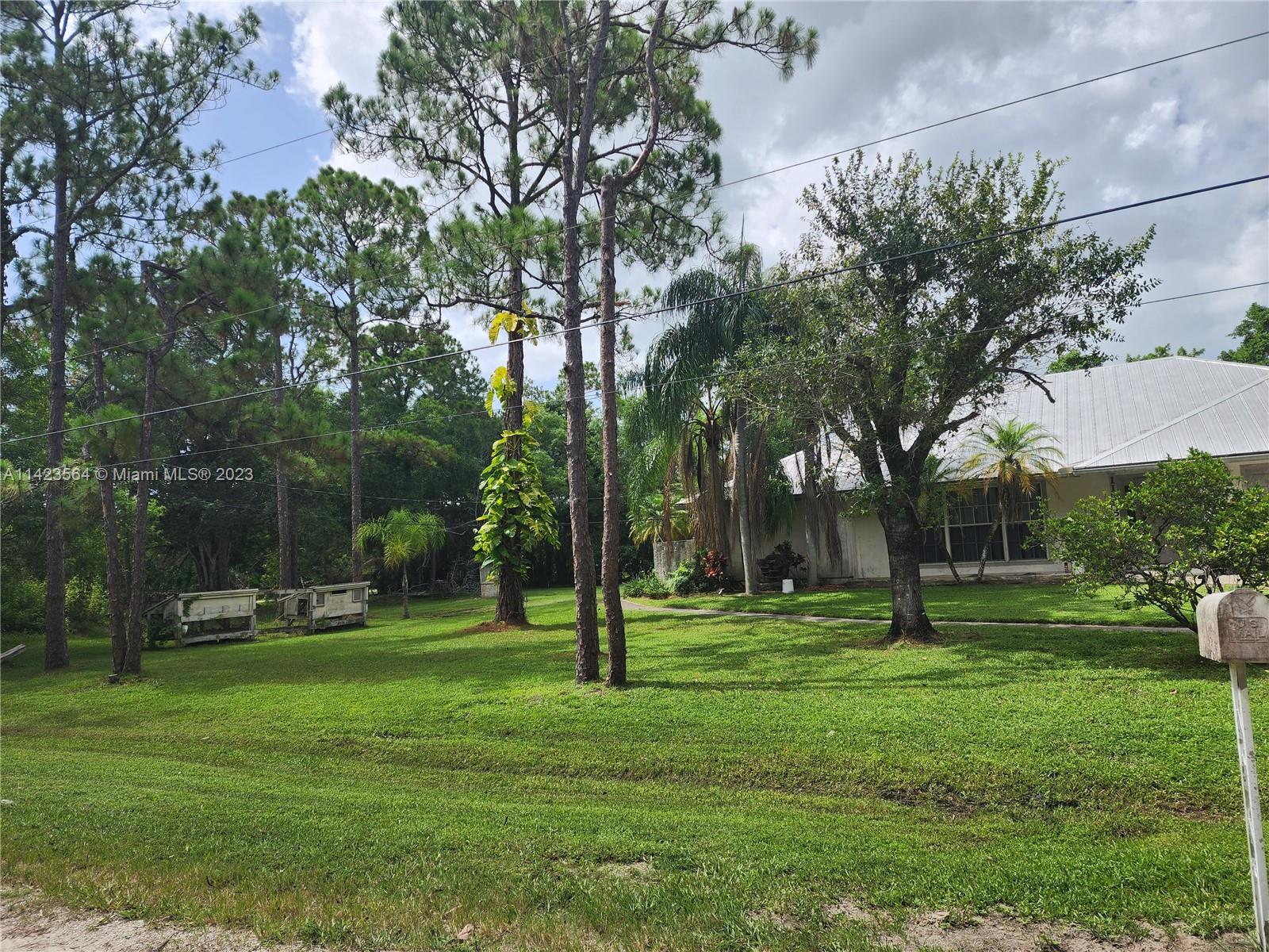 A grassy yard features several tall pine trees, a house, and a mailbox — 11845 N 171st Ln N, Jupiter FL 33478, JUPITER, FL