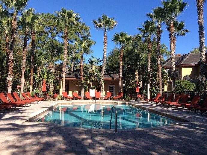 A rectangular swimming pool is surrounded by lounge chairs and palm trees — 2141 PORTOFINO PLACE UNIT 8-2826, PALM HARBOR, FL