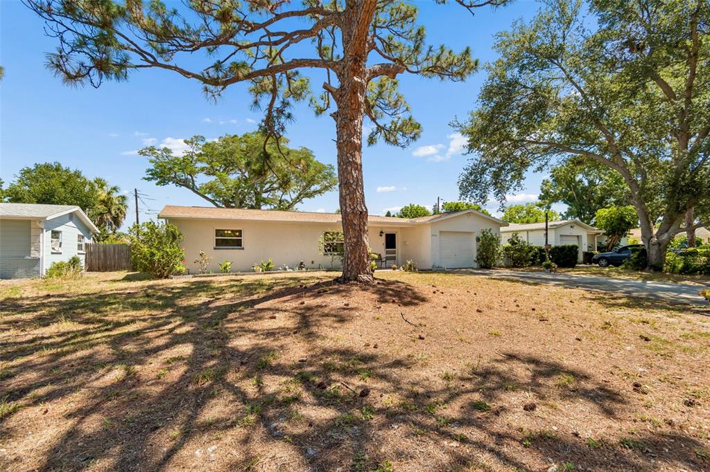 A single-story house with a garage and a large pine tree in the front yard — 2085 68TH AVENUE S, ST PETERSBURG, FL