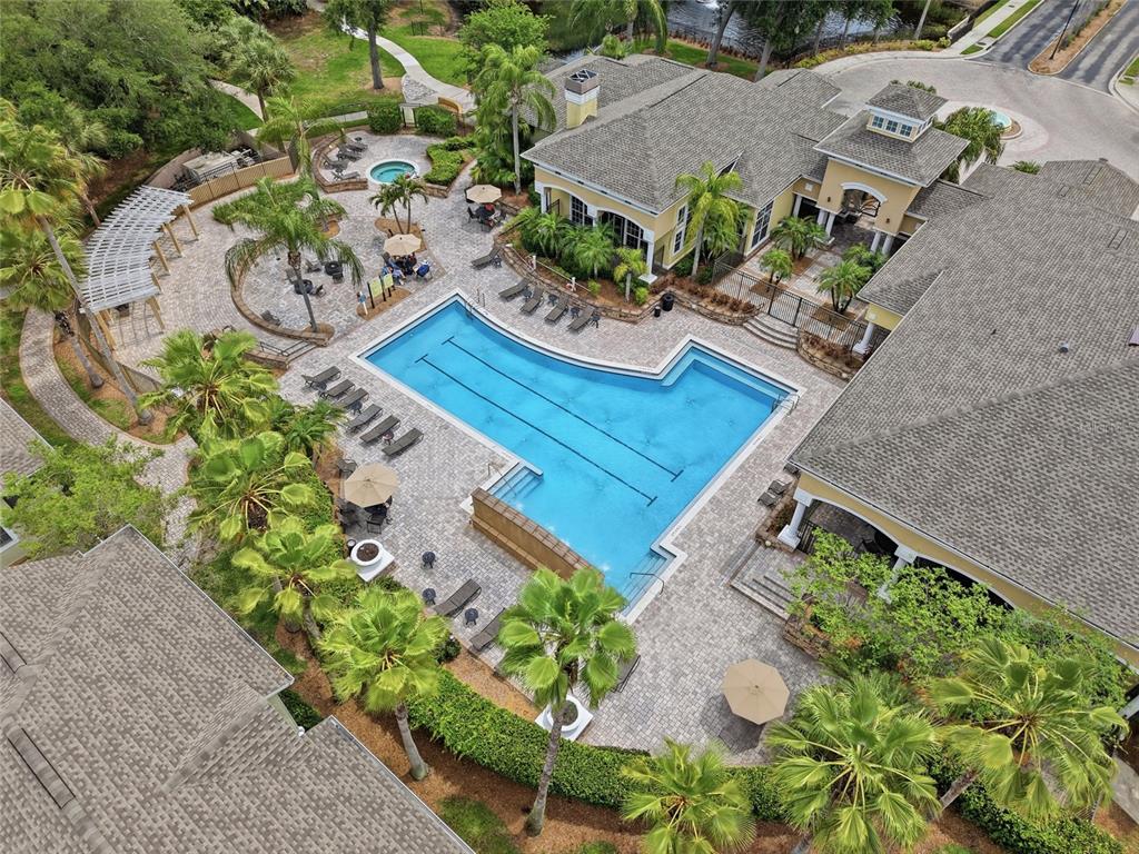 An aerial view shows a community swimming pool with a hot tub and patio area — 9916 COURTNEY PALMS BOULEVARD UNIT 302, TAMPA, FL