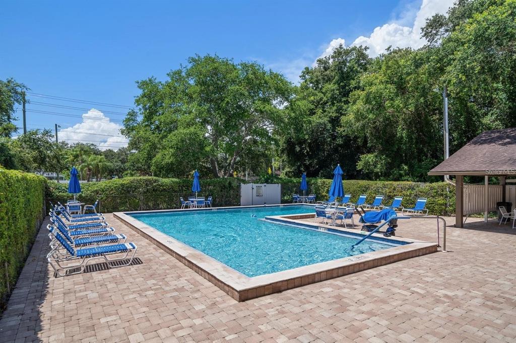 An outdoor swimming pool surrounded by lounge chairs, umbrellas, and a paved patio area — 3198 CLAREMONT PLACE UNIT A, PALM HARBOR, FL